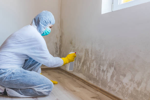 Hvac And Air Duct Mold Remediation inspection of HVAC system in Lemont